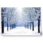 Winter's Path Holiday Card